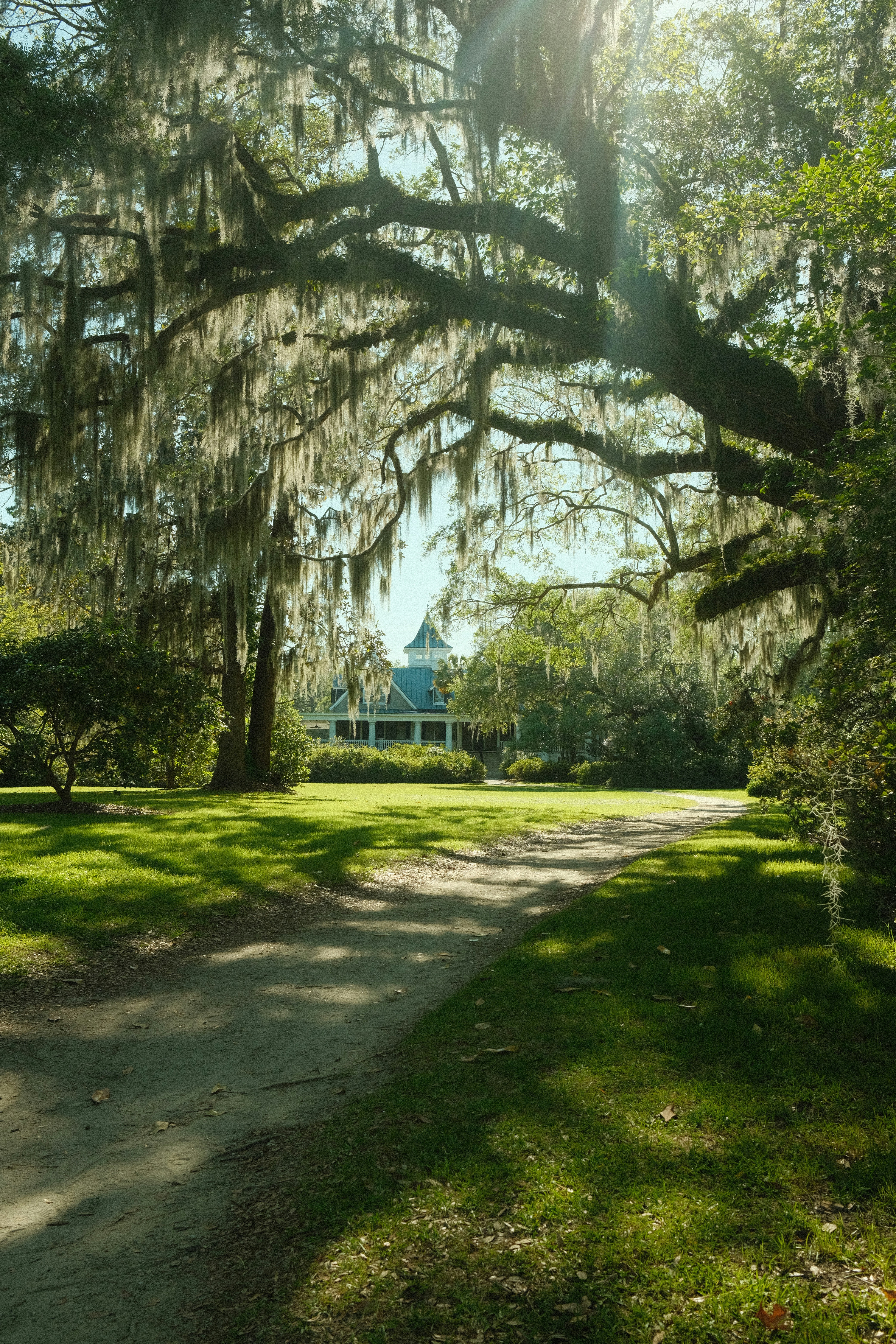 Magnolia Gardens