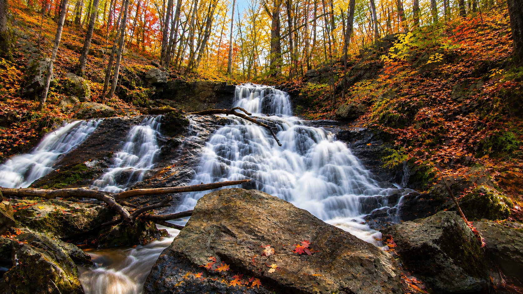 Fore River Sanctuary